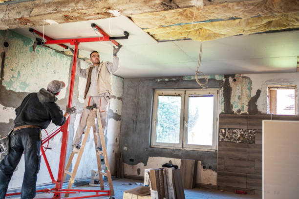 Best Insulation Maintenance and Repair in Linden, AL