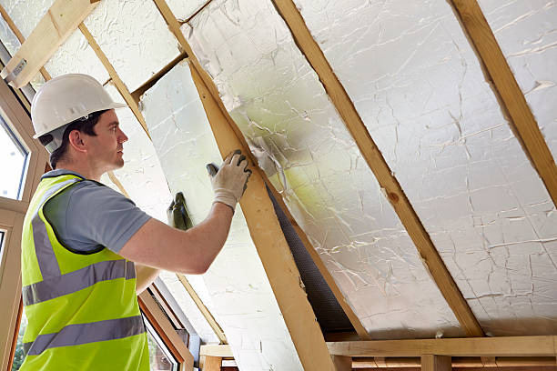 Best Specialty Insulation in Linden, AL